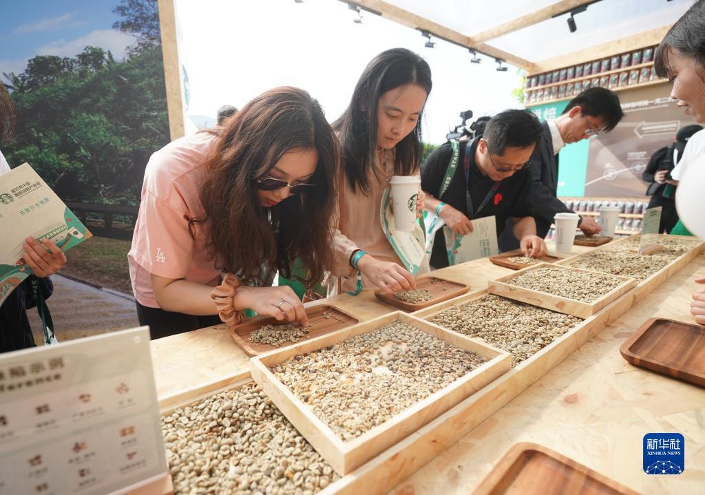 澳门新葡是什么